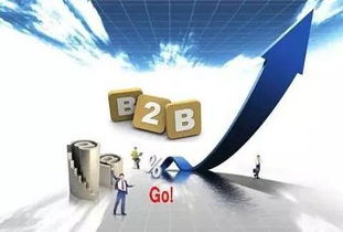 消費(fèi)互聯(lián)網(wǎng)向產(chǎn)業(yè)互聯(lián)網(wǎng)轉(zhuǎn)型 B2B市場(chǎng)崛起與網(wǎng)絡(luò)技術(shù)服務(wù)的機(jī)遇